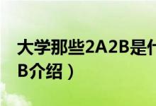 大學那些2A2B是什么意思啊（關于大學2A2B介紹）