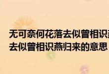 無可奈何花落去似曾相識燕歸來的哲學原理（無可奈何花落去似曾相識燕歸來的意思）