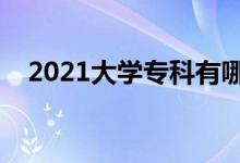 2021大學(xué)?？朴心男W(xué)校（哪些學(xué)校好）