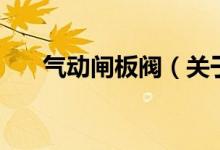 氣動(dòng)閘板閥（關(guān)于氣動(dòng)閘板閥的介紹）