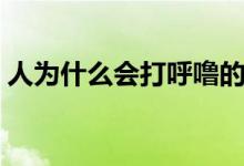 人為什么會打呼嚕的原因（人為什么會打鼾）