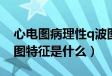心電圖病理性q波圖片特點(diǎn)（病理性q波心電圖特征是什么）