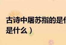 古詩(shī)中屠蘇指的是什么意思（古詩(shī)中屠蘇指的是什么）