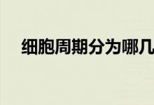 細(xì)胞周期分為哪幾個時期（特點(diǎn)是什么）