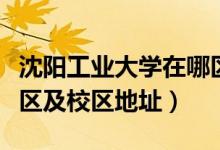 沈陽工業(yè)大學(xué)在哪區(qū)（沈陽工業(yè)大學(xué)有幾個(gè)校區(qū)及校區(qū)地址）