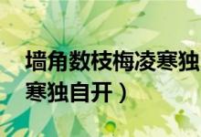 墻角數(shù)枝梅凌寒獨(dú)自開圖片（墻角數(shù)枝梅 凌寒獨(dú)自開）