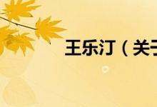 王樂?。P(guān)于王樂汀的介紹）