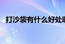 打沙袋有什么好處?。ù蛏炒惺裁春锰帲?class=