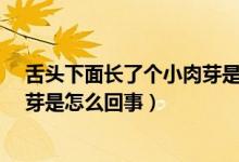 舌頭下面長了個(gè)小肉芽是怎么回事?（舌頭下面長了個(gè)小肉芽是怎么回事）