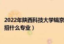2022年陜西科技大學(xué)鎬京學(xué)院招生計劃及招生人數(shù)（各省都招什么專業(yè)）