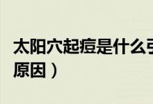 太陽(yáng)穴起痘是什么引起的（太陽(yáng)穴起痘是什么原因）
