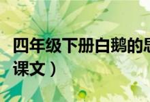 四年級下冊白鵝的思維導(dǎo)圖（四年級下冊白樺課文）