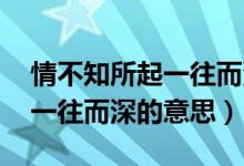 情不知所起一往而深的電視?。ㄇ椴恢?一往而深的意思）