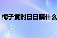 梅子黃時日日晴什么意思(梅子黃時日日晴)