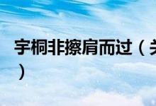 宇桐非擦肩而過(guò)（關(guān)于宇桐非擦肩而過(guò)的介紹）