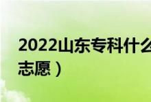2022山東?？剖裁磿r候報志愿（?？圃趺磮笾驹福?class=