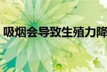 吸煙會導致生殖力降低嗎（吸煙導致陽痿嗎）