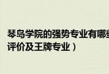琴島學(xué)院的強(qiáng)勢專業(yè)有哪些（2022年青島理工大學(xué)琴島學(xué)院評價(jià)及王牌專業(yè)）