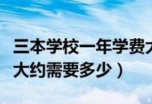 三本學校一年學費大約多少錢（三本學費一年大約需要多少）