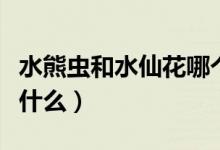 水熊蟲和水仙花哪個生命強（水仙花的特點是什么）