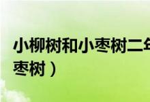 小柳樹(shù)和小棗樹(shù)二年級(jí)下冊(cè)語(yǔ)文（小柳樹(shù)和小棗樹(shù)）