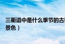 三衢道中是什么季節(jié)的古詩(shī)（三衢道中描寫(xiě)的是什么季節(jié)的景色）