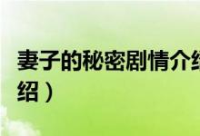 妻子的秘密劇情介紹（關(guān)于妻子的秘密劇情介紹）