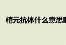 精元抗體什么意思啊（精元抗體什么意思）