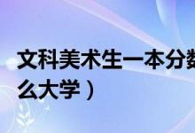 文科美術(shù)生一本分數(shù)線（文科美術(shù)生可以考什么大學）