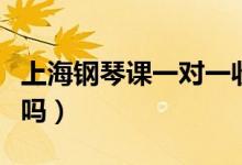 上海鋼琴課一對一收費標準(學鋼琴的費用高嗎)