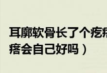 耳廓軟骨長(zhǎng)了個(gè)疙瘩圖片（耳廓軟骨長(zhǎng)了個(gè)疙瘩會(huì)自己好嗎）