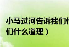 小馬過(guò)河告訴我們什么道理(小馬過(guò)河告訴我們什么道理)