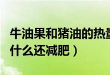牛油果和豬油的熱量哪個高（牛油果熱量高為什么還減肥）