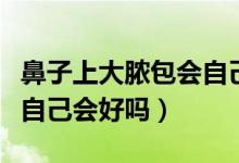 鼻子上大膿包會(huì)自己消除嗎（鼻子上的大膿包自己會(huì)好嗎）