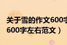 關于雪的作文600字左右初三（關于雪的作文600字左右范文）