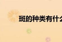 斑的種類(lèi)有什么（斑的種類(lèi)介紹）