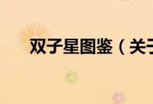 雙子星圖鑒（關于雙子星圖鑒的介紹）