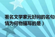 著名文學(xué)家元好問(wèn)的名句問(wèn)世間情為何物描寫(xiě)的是（問(wèn)世間情為何物描寫(xiě)的是）
