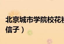 北京城市學院?；ㄒ曨l（北京城市學院?；ㄒπ抛樱?class=