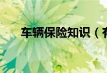 車輛保險知識（有關保險的知識介紹）