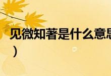 見微知著是什么意思（見微知著的含義是什么）