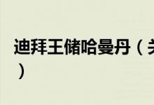 迪拜王儲哈曼丹（關(guān)于迪拜王儲哈曼丹的介紹）