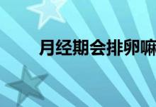 月經(jīng)期會排卵嘛（月經(jīng)期會排卵嗎）
