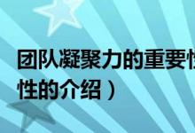 團(tuán)隊(duì)凝聚力的重要性（關(guān)于團(tuán)隊(duì)凝聚力的重要性的介紹）