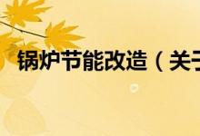 鍋爐節(jié)能改造（關于鍋爐節(jié)能改造的介紹）
