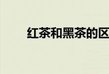 紅茶和黑茶的區(qū)別（發(fā)酵機(jī)理不同）
