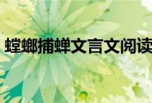 螳螂捕蟬文言文閱讀答案(螳螂捕蟬文言文)