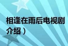 相逢在雨后電視?。P(guān)于相逢在雨后電視劇的介紹）
