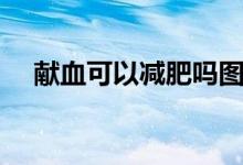 獻血可以減肥嗎圖片（獻血可以減肥嗎）