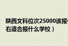 陜西文科位次25000該報(bào)什么學(xué)校（陜西高考位次20000左右適合報(bào)什么學(xué)校）